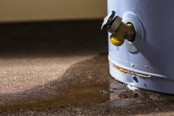 Best Sewage cleanup and water damage restoration  in Haskins, OH