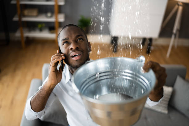 Best Mold removal after water damage  in Haskins, OH