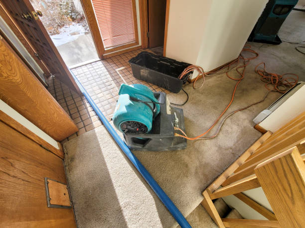 Best Flood restoration services  in Haskins, OH