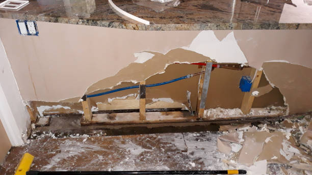 Best Sewage cleanup and water damage restoration  in Haskins, OH