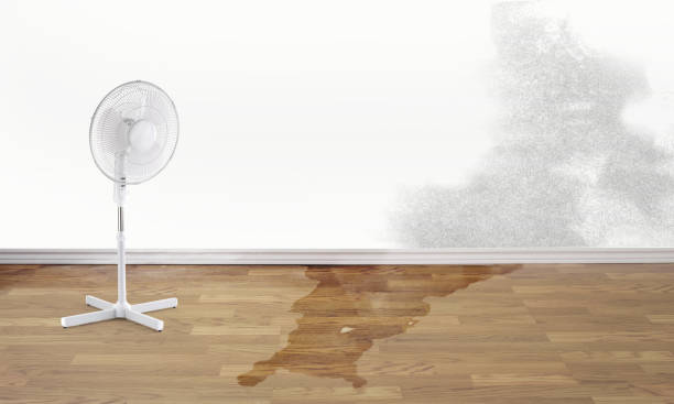 Best Water damage restoration near me  in Haskins, OH