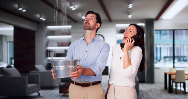 Best 24-hour water damage restoration  in Haskins, OH
