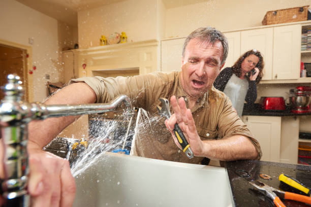 Best Water damage cleanup near me  in Haskins, OH